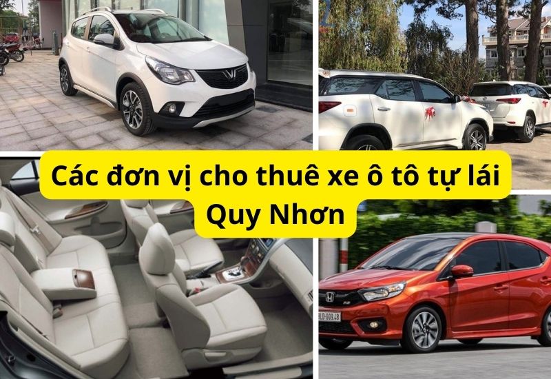 Các đơn vị, dịch vụ cho thuê xe ô tô tự lái Quy Nhơn